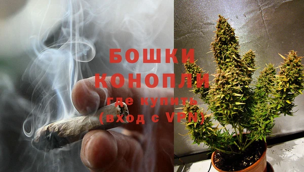 шишки Мегион
