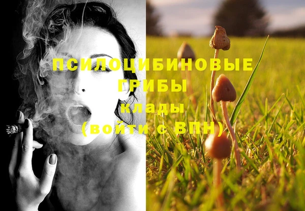 mdma Медногорск