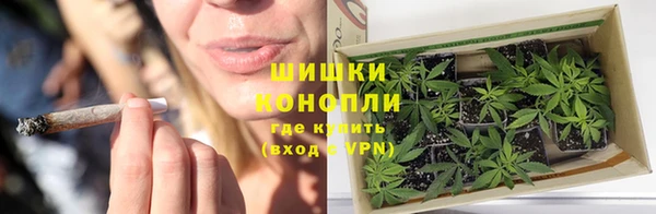 ECSTASY Михайлов