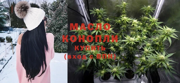 шишки Мегион