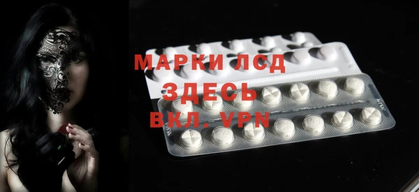 шишки Мегион