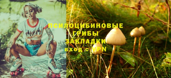 шишки Мегион