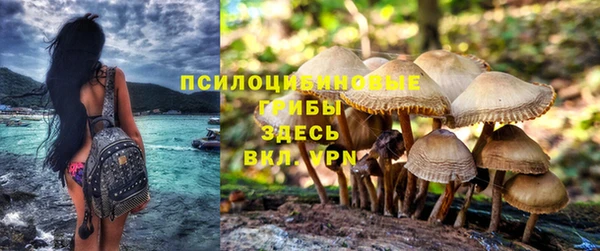 mdma Медногорск