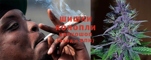 шишки Мегион