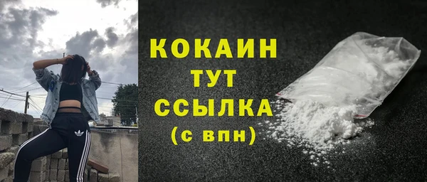 шишки Мегион