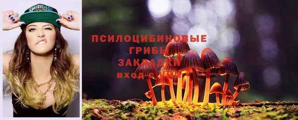 мяу мяу мука Медвежьегорск